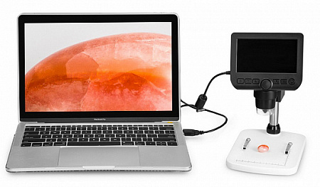 Цифровой микроскоп Levenhuk DTX 350 LCD